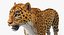 Collection Animaux d'Afrique 3