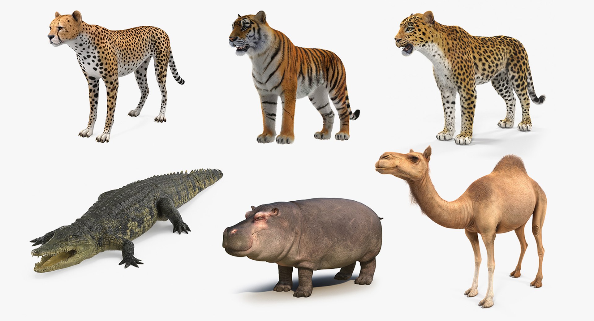 3D african animals 3 https://p.turbosquid.com/ts-thumb/jg/OOsS8t/U25tGfMz/africananimalscollection33dmodel002/jpg/1561063051/1920x1080/fit_q87/85854e869725b7de13ac662556174f08fcc9d0b9/africananimalscollection33dmodel002.jpg