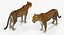 Collection Animaux d'Afrique 3