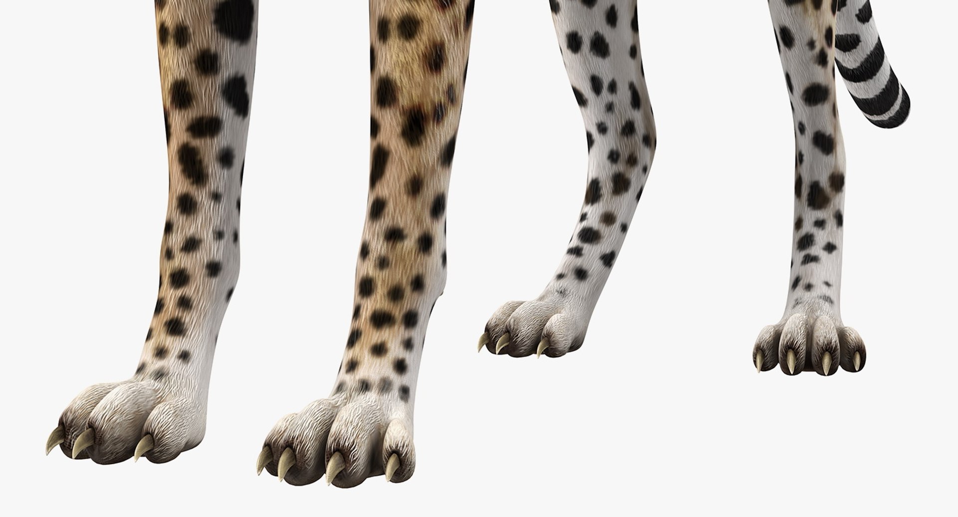 3D african animals 3 https://p.turbosquid.com/ts-thumb/jg/OOsS8t/j9IVXQZf/africananimalscollection33dmodel009/jpg/1561063051/1920x1080/fit_q87/45392be1fcfba0457b7744a89a094478ebd7f8b5/africananimalscollection33dmodel009.jpg