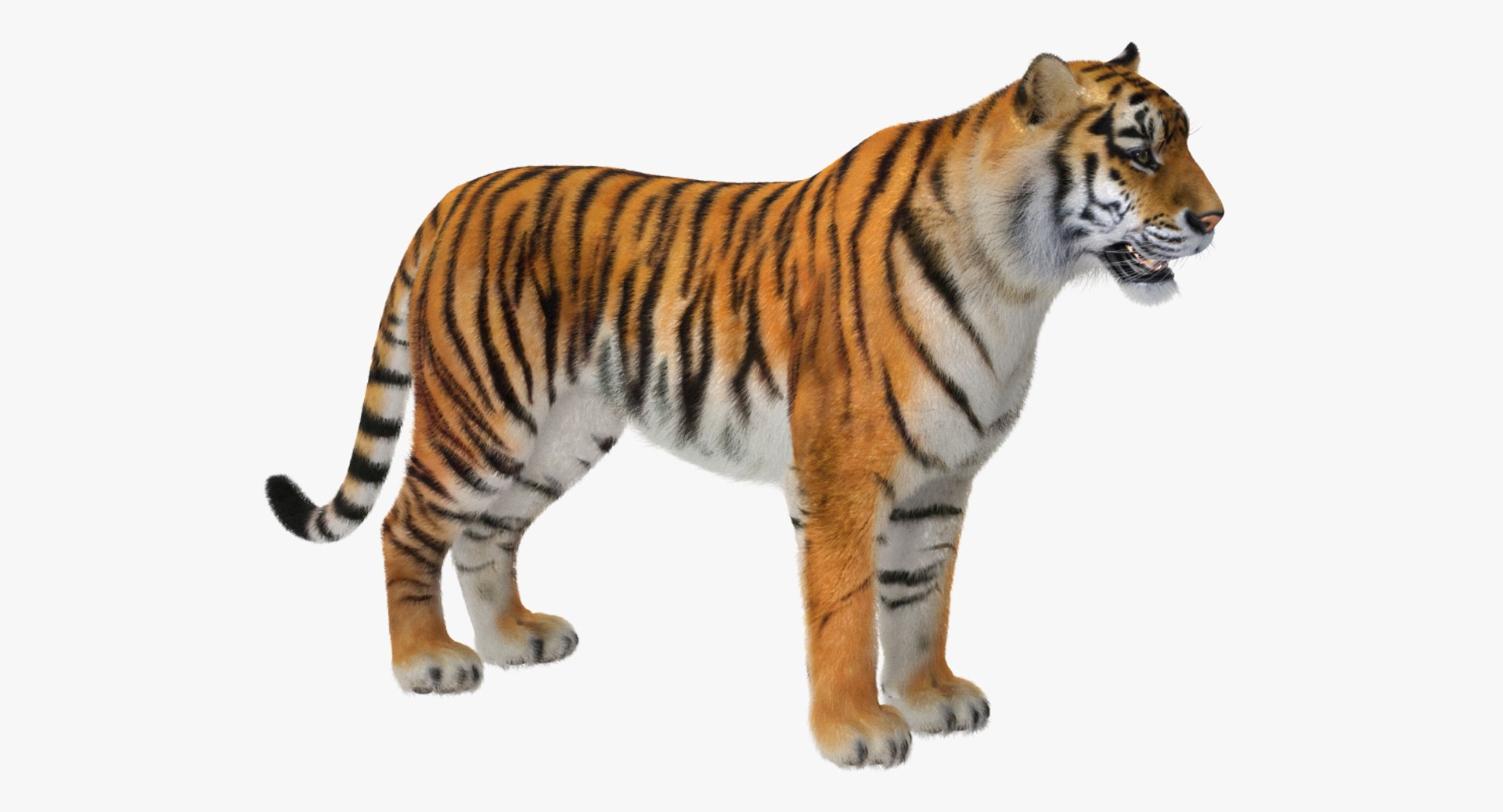 3D african animals 3 https://p.turbosquid.com/ts-thumb/jg/OOsS8t/nw6Teica/africananimalscollection33dmodel018/jpg/1561063051/1920x1080/fit_q87/a14959102fcb972141884a5d5ef2b27649e5704e/africananimalscollection33dmodel018.jpg