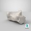 Real Calcaneus Bone 01 White