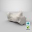 Real Calcaneus Bone 01 White