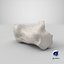 Real Calcaneus Bone 01 White