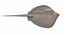 Southern Stingray 2