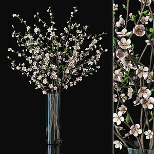 plum branches vase 3D