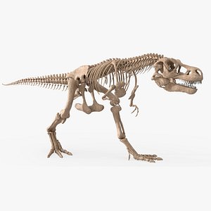 3D Tyrannosaurus Rex Skeleton Rigged For Blender model