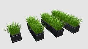 3D grass nature model