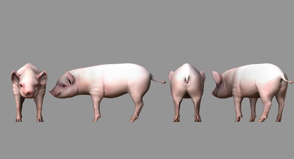 cute pig 3D model