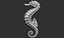 Sea horse