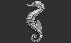 Sea horse