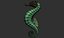 Sea horse