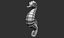 Sea horse