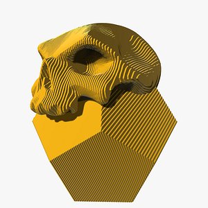 3D Sliced Skull Polyhedron 01