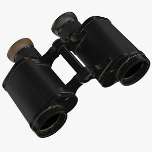 vintage binoculars 3D model