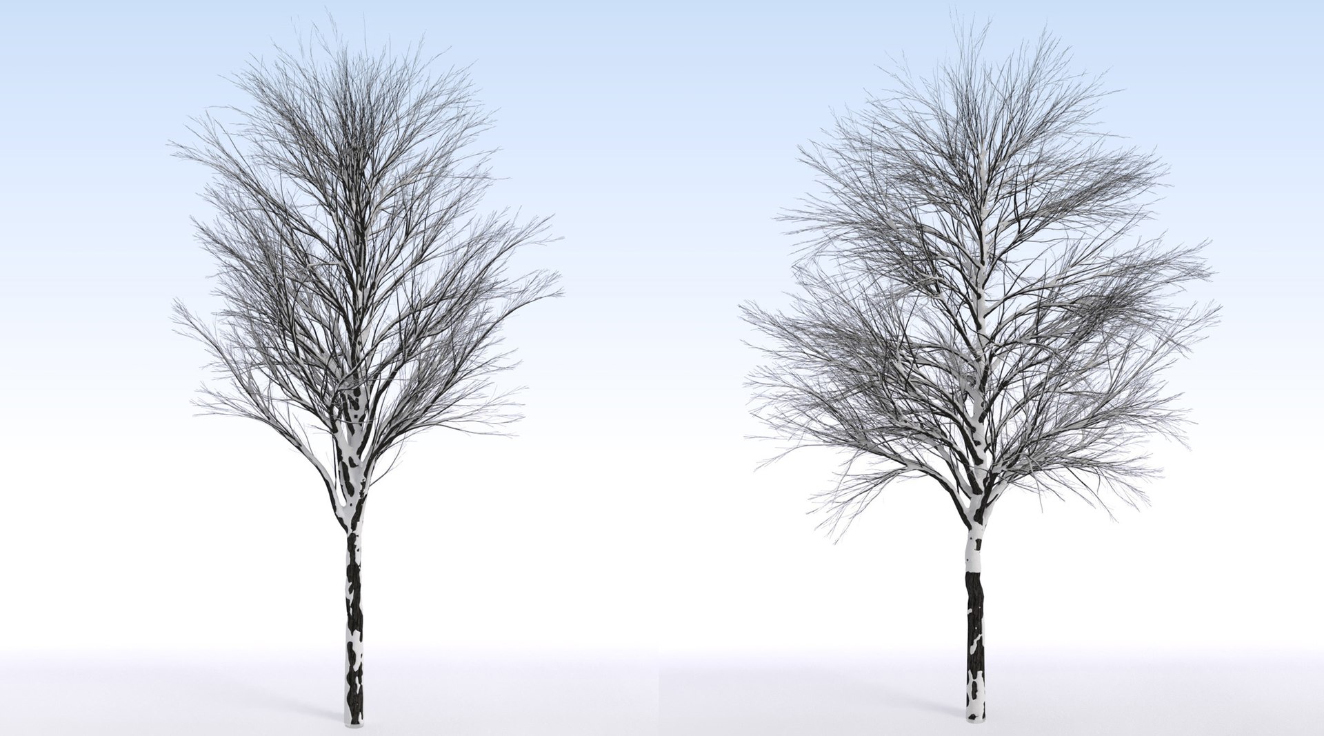 2 3D https://p.turbosquid.com/ts-thumb/jg/uFypSB/0EG5CH8O/elv_tr_2_snowed11/jpg/1583526384/1920x1080/fit_q87/6a3a3460642689d7b532f41d72253c7bdc4e0481/elv_tr_2_snowed11.jpg