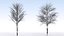 Eleven Trees 2 (+Growfx)