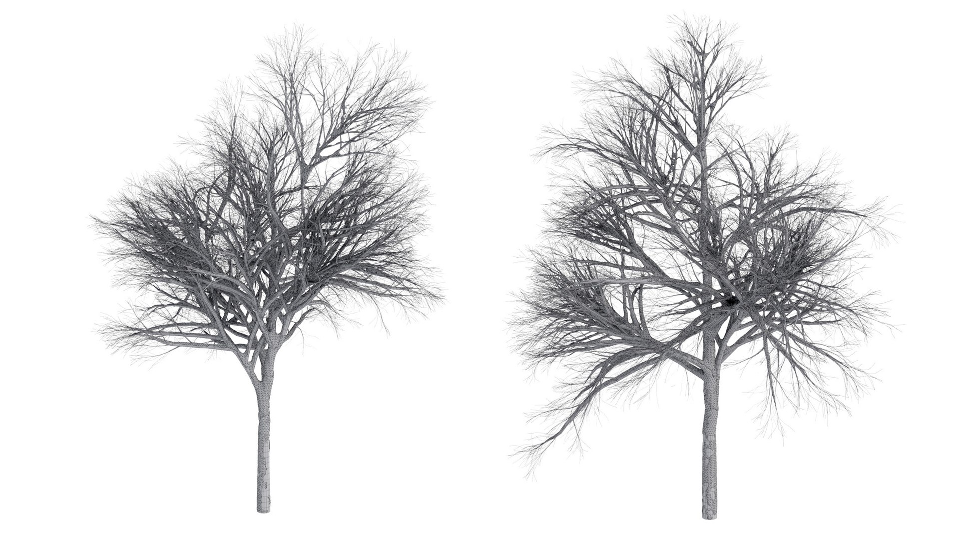 2 3D https://p.turbosquid.com/ts-thumb/jg/uFypSB/3bwSf4XO/elv_tr_2_snowed13/jpg/1583526384/1920x1080/fit_q87/8cdd9b64e2fe6645bbb245ba21d083eb54e833fe/elv_tr_2_snowed13.jpg
