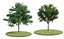 Eleven Trees 2 (+Growfx)