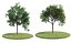 Eleven Trees 2 (+Growfx)
