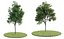Eleven Trees 2 (+Growfx)