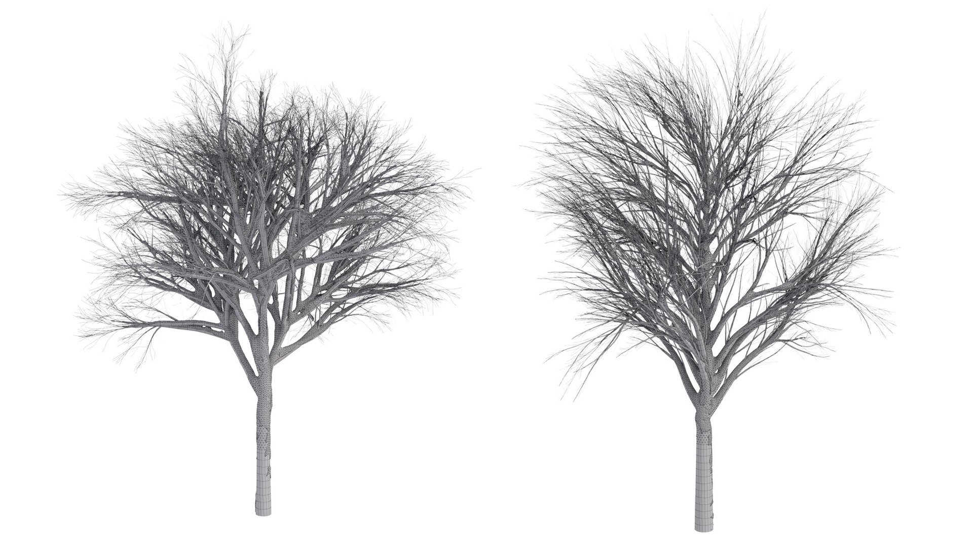 2 3D https://p.turbosquid.com/ts-thumb/jg/uFypSB/KmDQ5QXz/elv_tr_2_snowed18/jpg/1583526387/1920x1080/fit_q87/b96848bcdbe9d112e7fe5a24decd242604c143f4/elv_tr_2_snowed18.jpg