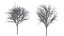 Eleven Trees 2 (+Growfx)
