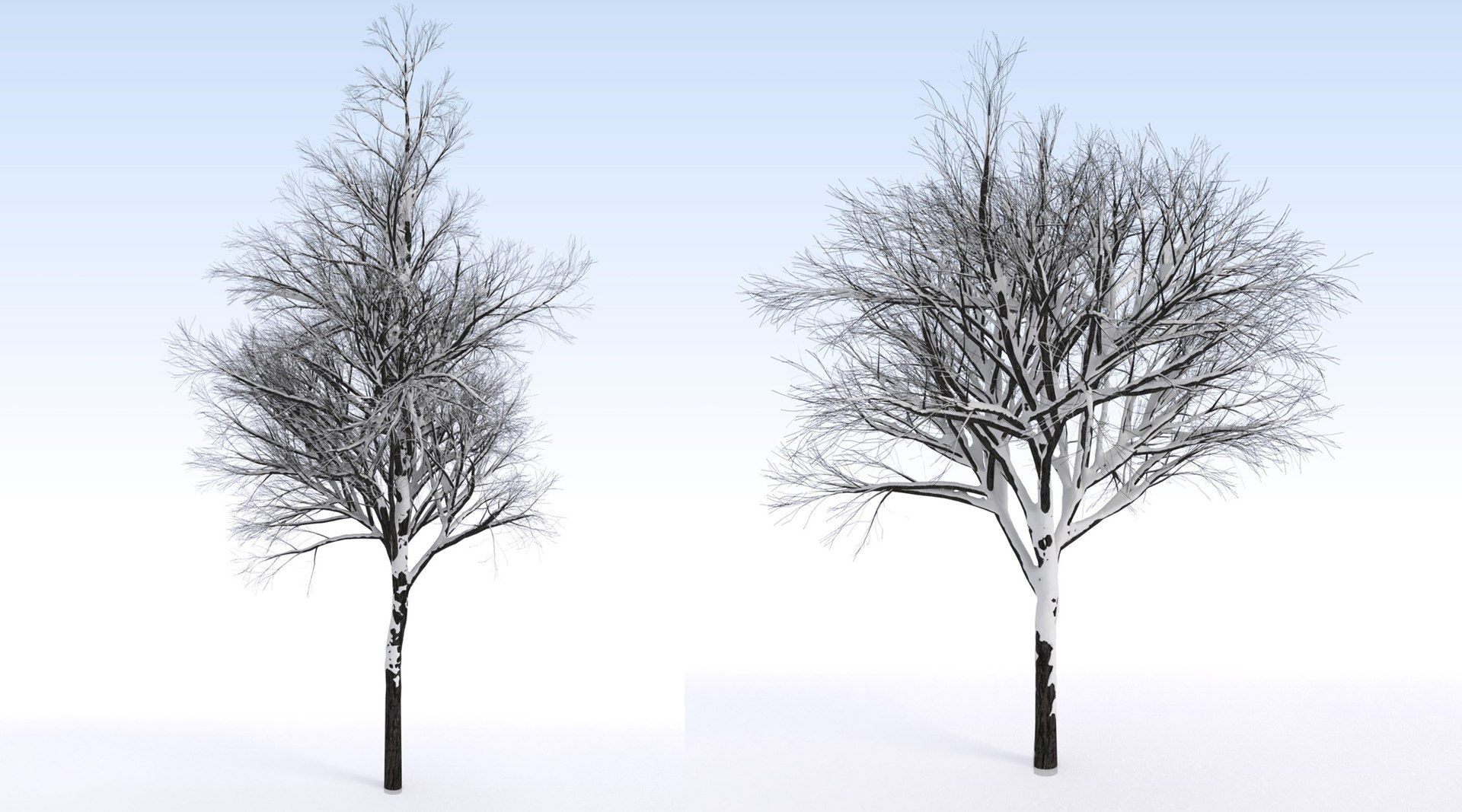 2 3D https://p.turbosquid.com/ts-thumb/jg/uFypSB/NQoD0ryI/elv_tr_2_snowed6/jpg/1583526377/1920x1080/fit_q87/b60891a940c7224c1f9fd056543f224d13a12dcd/elv_tr_2_snowed6.jpg