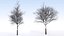 Eleven Trees 2 (+Growfx)