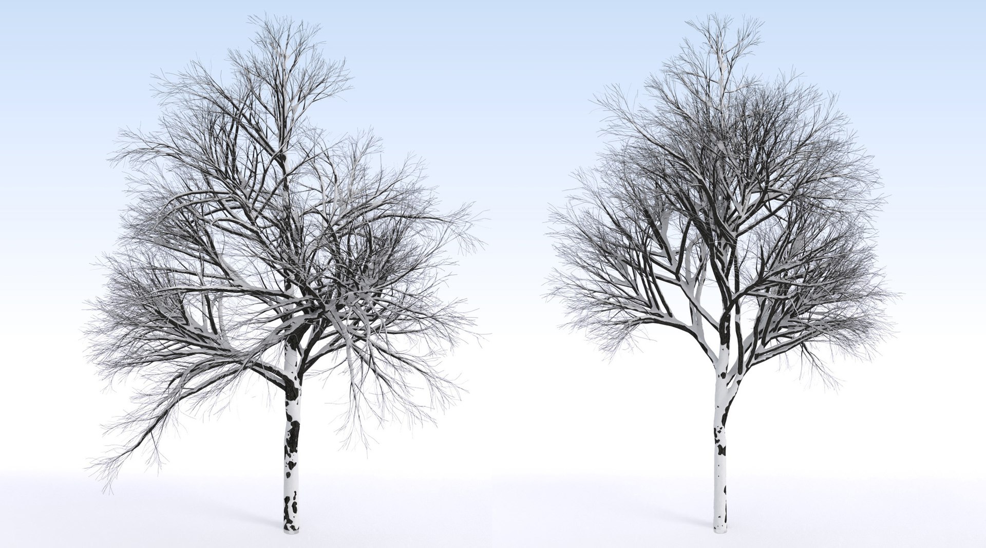 2 3D https://p.turbosquid.com/ts-thumb/jg/uFypSB/PN2aklfg/elv_tr_2_snowed4/jpg/1583526377/1920x1080/fit_q87/cf4c2a3f213131178d51630f89ccc191793a3242/elv_tr_2_snowed4.jpg