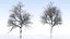 Eleven Trees 2 (+Growfx)