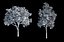 Eleven Trees 2 (+Growfx)