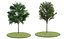 Eleven Trees 2 (+Growfx)