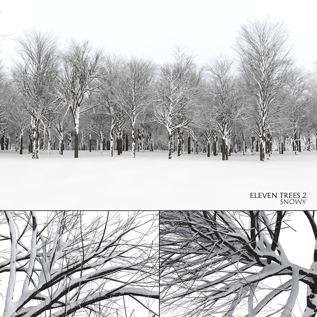2 3D https://p.turbosquid.com/ts-thumb/jg/uFypSB/erKVUqNR/elv_tr_2_snowed0/jpg/1583526318/1920x1080/fit_q87/1768a5c16af4bf33323144cb3a8057313eb404bb/elv_tr_2_snowed0.jpg