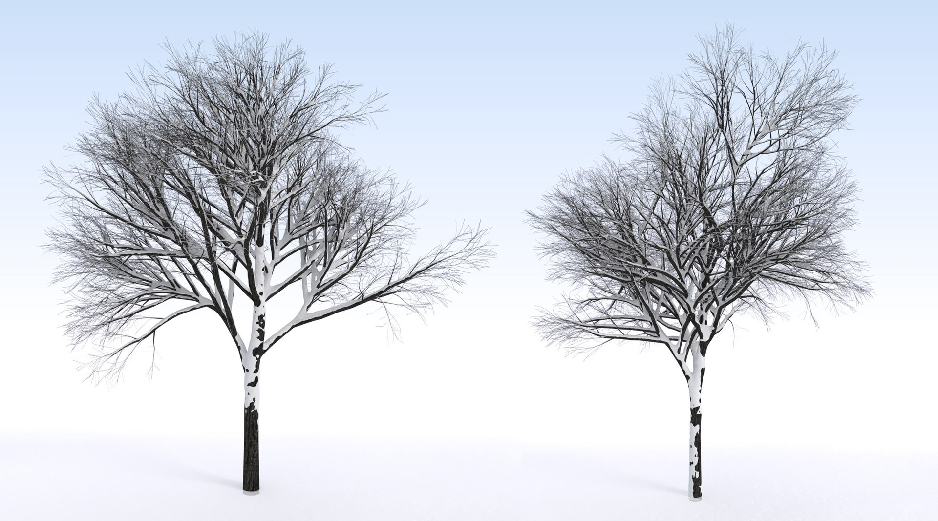 2 3D https://p.turbosquid.com/ts-thumb/jg/uFypSB/gT0ThAzD/elv_tr_2_snowed2/jpg/1583526377/1920x1080/fit_q87/4f6794fcd39a978582eb16c3aa67377015c04381/elv_tr_2_snowed2.jpg