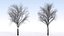 Eleven Trees 2 (+Growfx)
