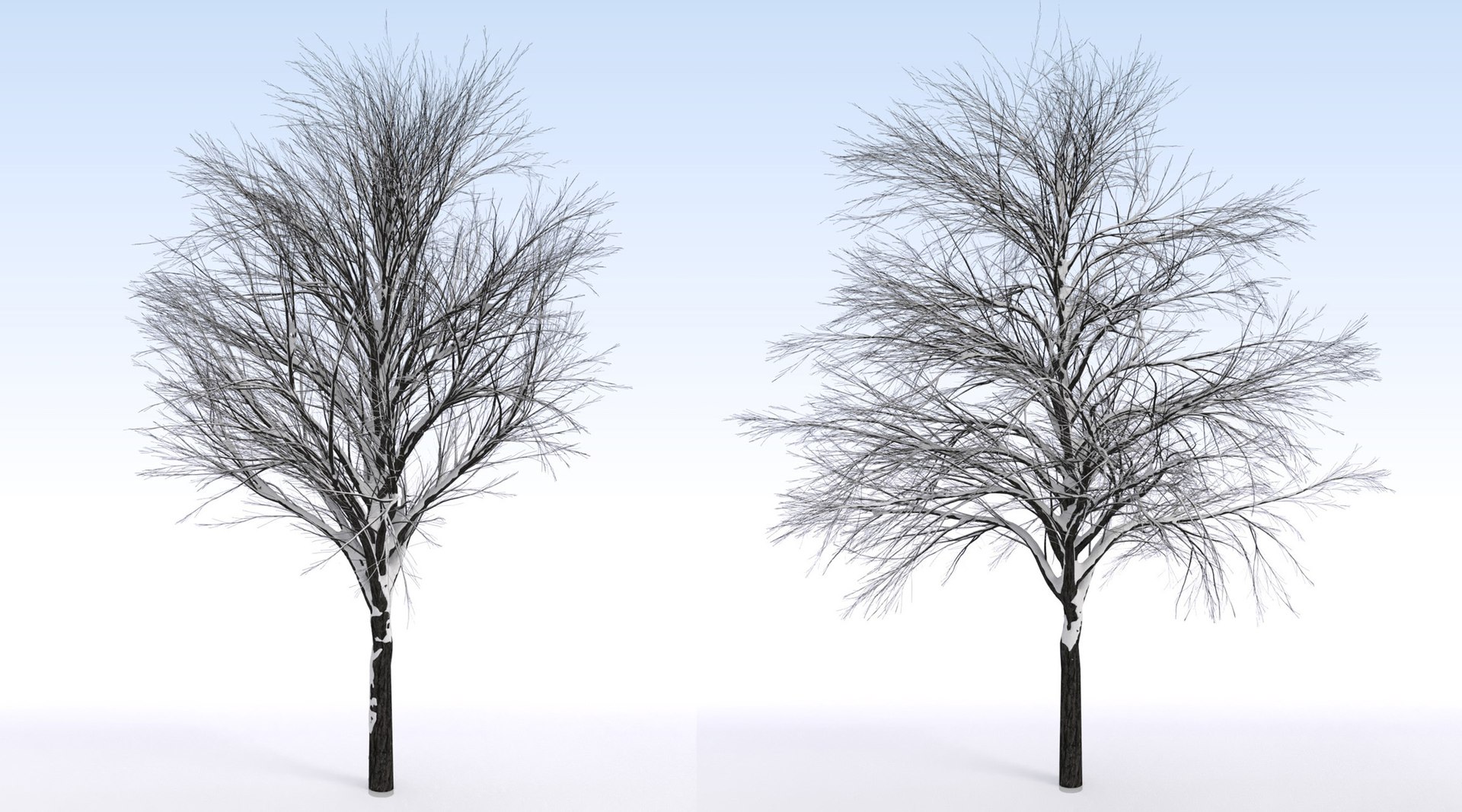 2 3D https://p.turbosquid.com/ts-thumb/jg/uFypSB/oObXGlCR/elv_tr_2_snowed9/jpg/1583526384/1920x1080/fit_q87/4bcf9a6be69297e899328c21cf7656bd875d416f/elv_tr_2_snowed9.jpg