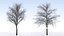 Eleven Trees 2 (+Growfx)