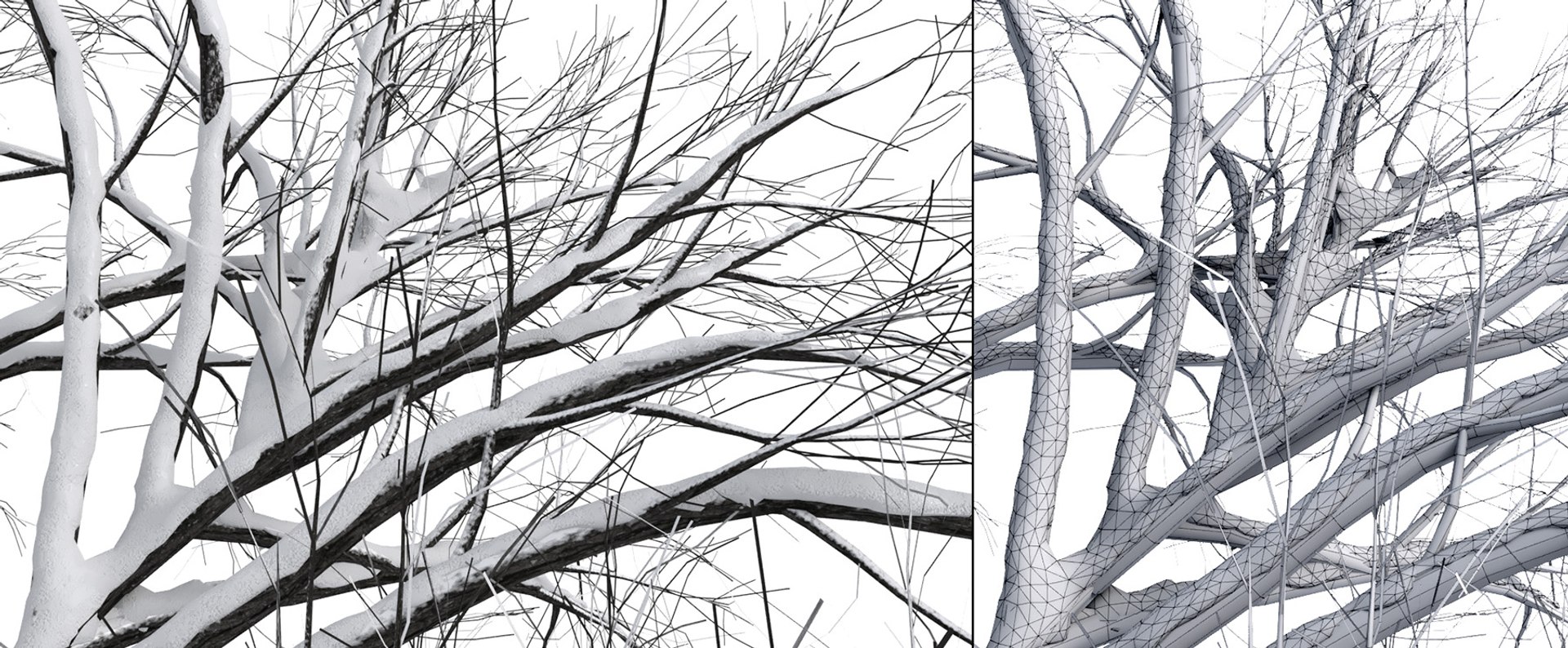 2 3D https://p.turbosquid.com/ts-thumb/jg/uFypSB/z4tV2NA1/elv_tr_2_snowed1/jpg/1583526377/1920x1080/fit_q87/27664bc01e3e8dd7505b02b7f64a8e21fc98a46c/elv_tr_2_snowed1.jpg