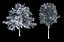 Eleven Trees 2 (+Growfx)