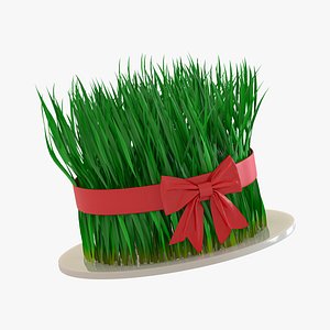 Semeni Nowruz 3D model