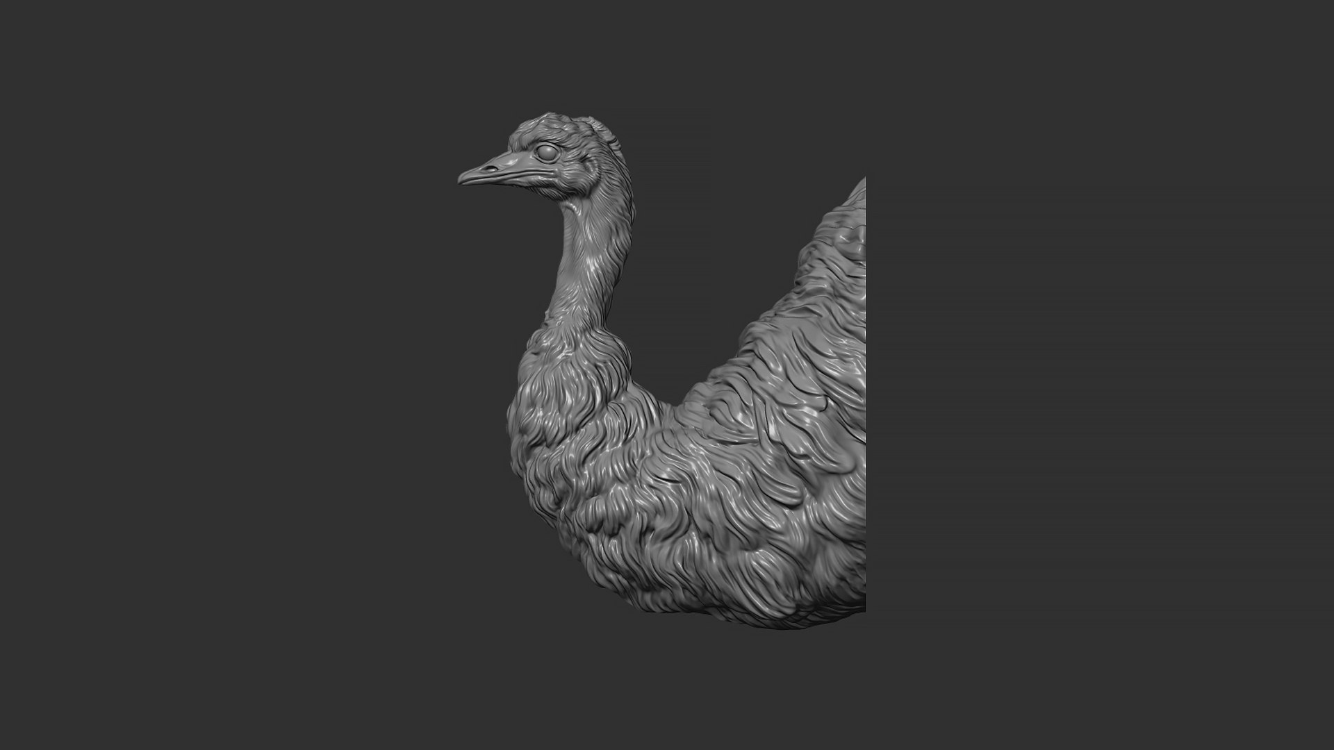 Emu Ostrich Bust 3D Model - TurboSquid 2102909