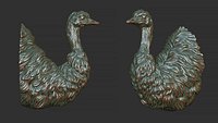 Emu ostrich bust