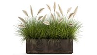 Reeds in a Flowerpot for the interior 905