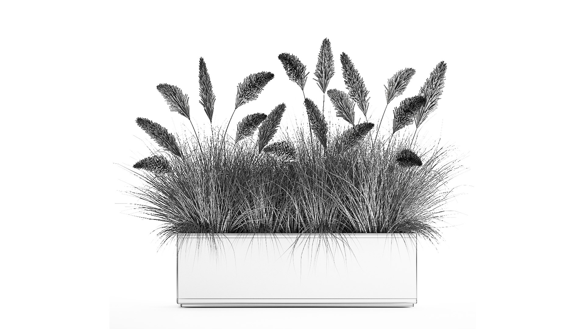 3D Model Reeds In A Flowerpot For The Interior 905 - TurboSquid 1714448