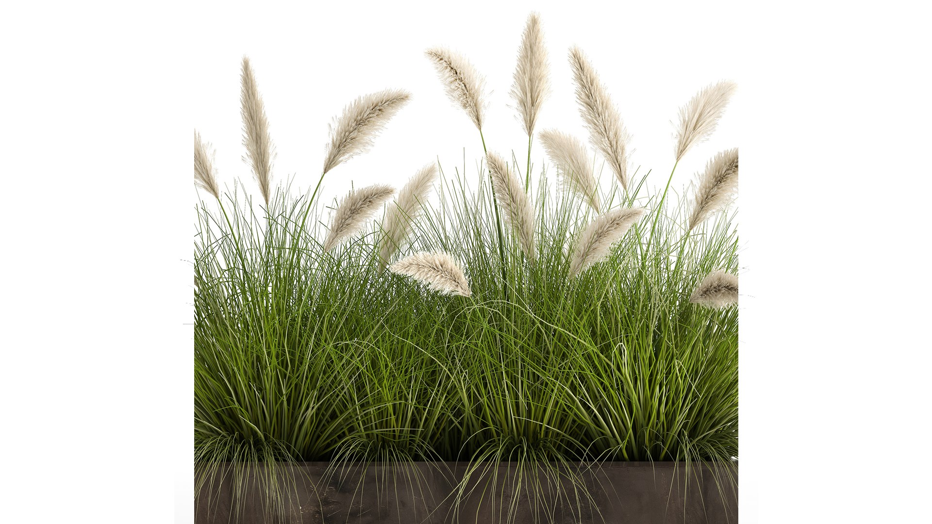 3D Model Reeds In A Flowerpot For The Interior 905 - TurboSquid 1714448