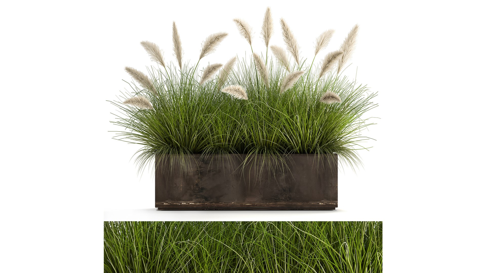 3D Model Reeds In A Flowerpot For The Interior 905 - TurboSquid 1714448