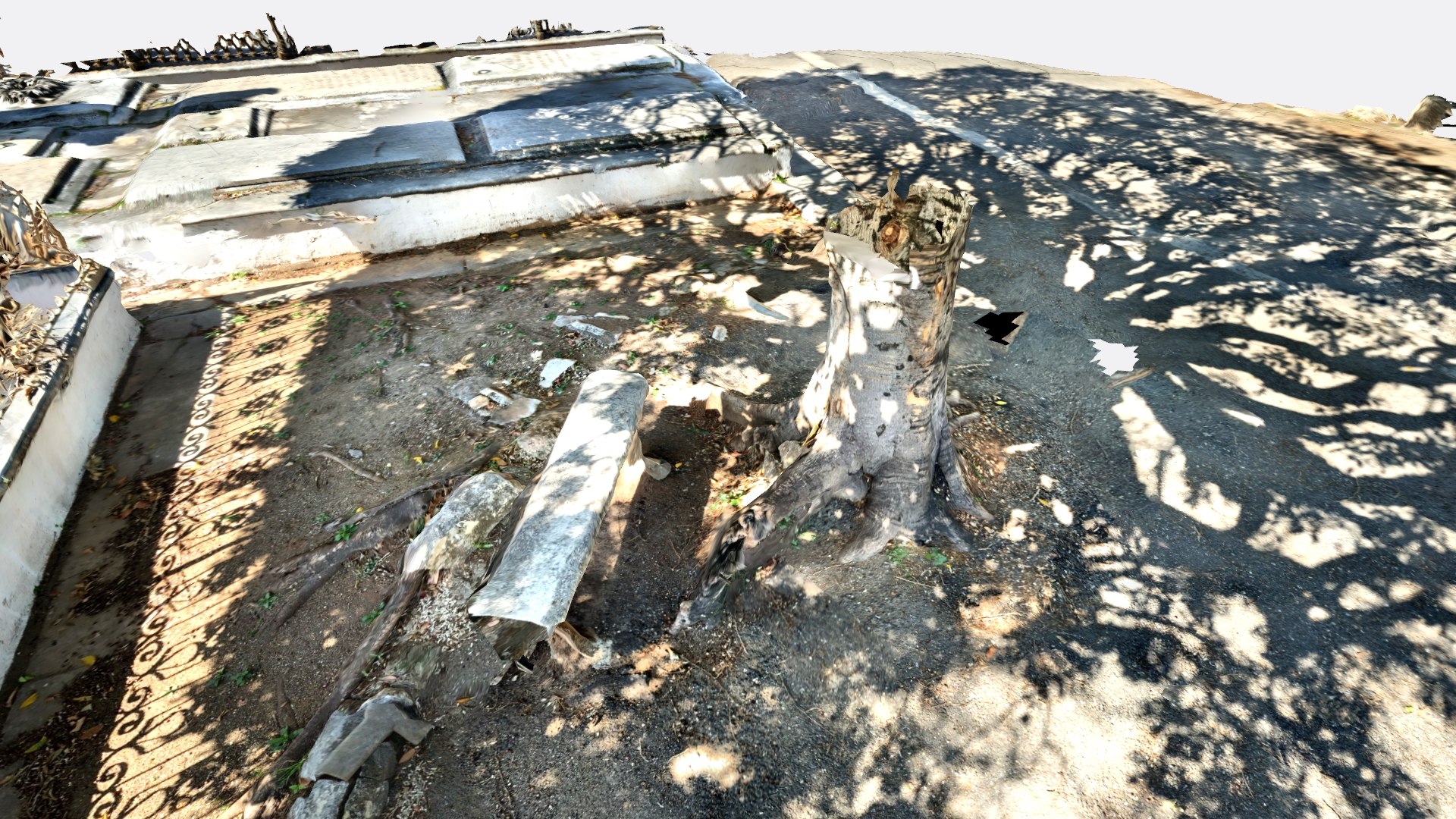 Tree Shadow 3D Model - TurboSquid 1969043