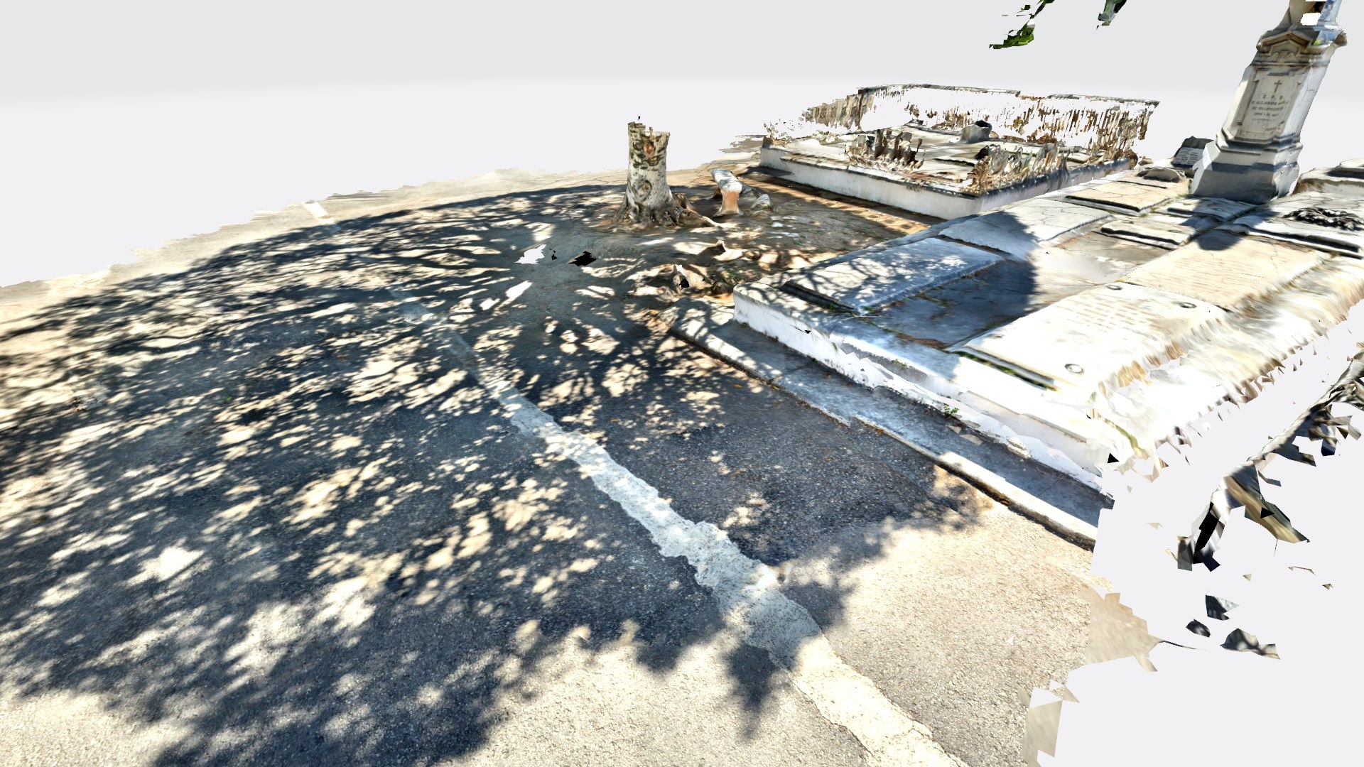 Tree Shadow 3D Model - TurboSquid 1969043