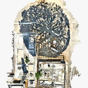 Tree Shadow 3D model